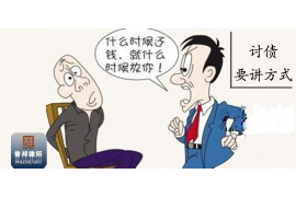 南陵南陵的要账公司在催收过程中的策略和技巧有哪些？